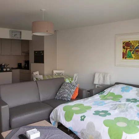 Sunshine, Zeedijk 335 , Studio, Nieuw Westende Bad